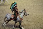 Quadrille - 00319